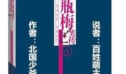 金梅瓶4集在线观看,第四集精彩预告，揭开神秘面纱